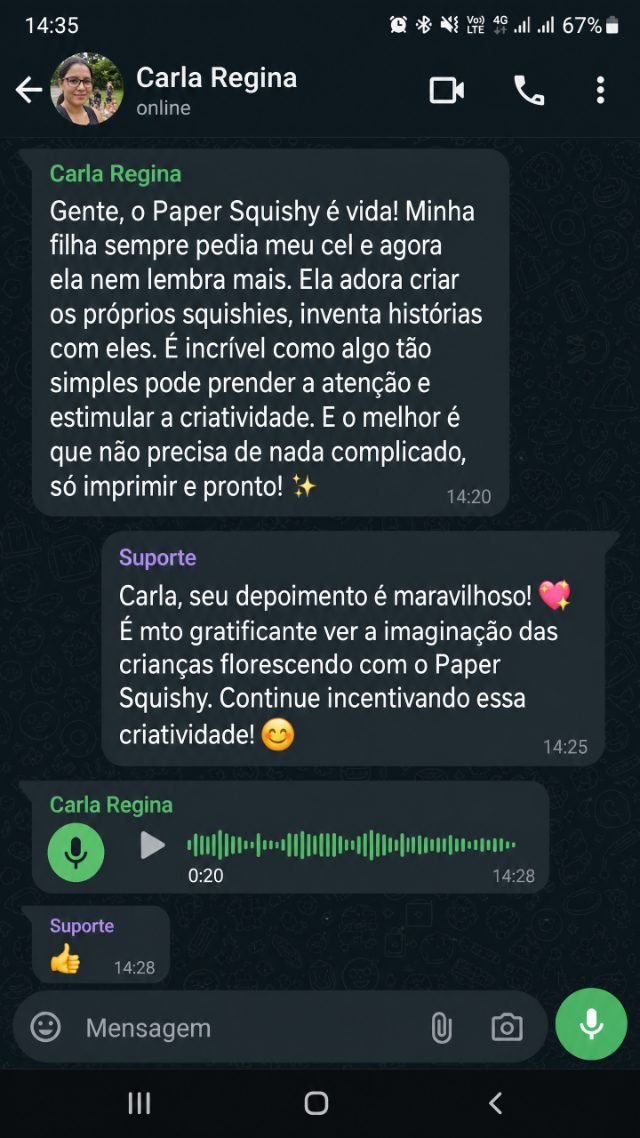 Captura de conversación real en WhatsApp 2